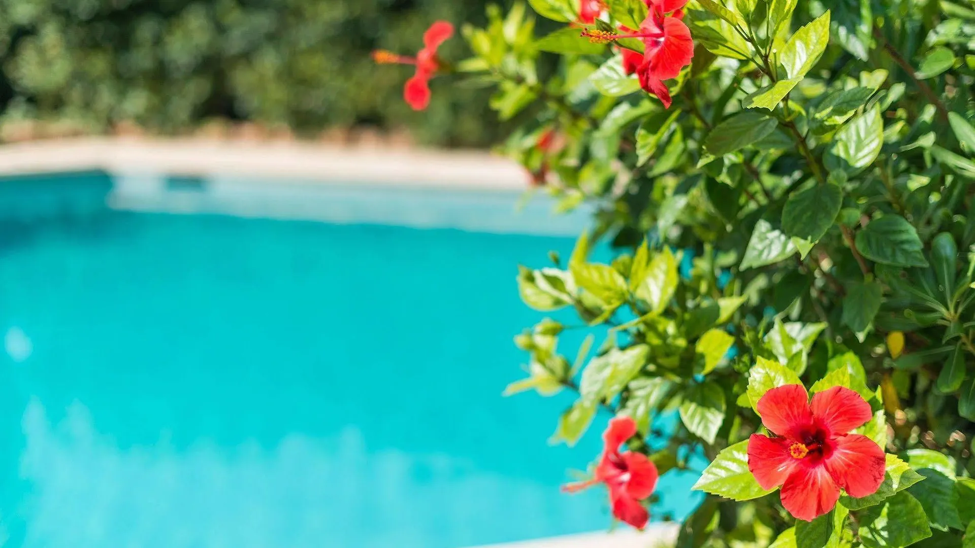 Hostal Casa Bauza Cala Ratjada  0*, Cala Ratjada (Mallorca) Spain